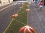 infiorata (45)